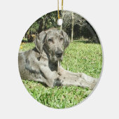 Grote Dane Puppy Ornaments Keramisch Ornament (Links)