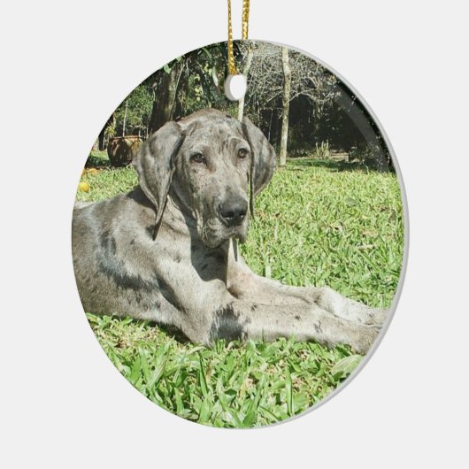 Grote Dane Puppy Ornaments Keramisch Ornament (Links)