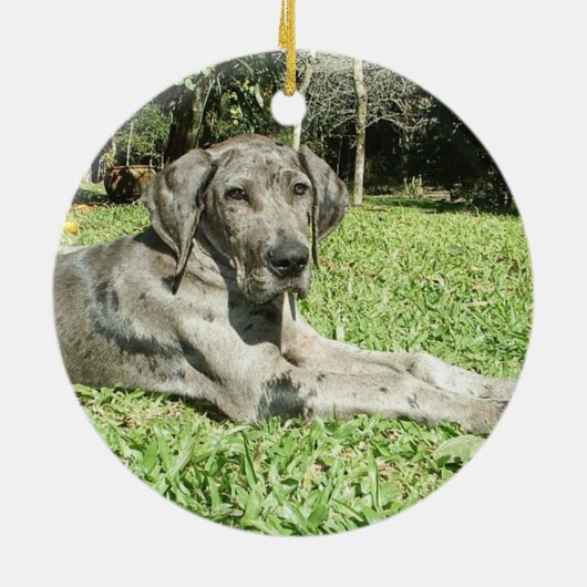 Grote Dane Puppy Ornaments Keramisch Ornament (Achterkant)
