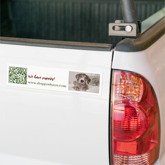 Grote Dane Puppy te koop Bumpersticker (Op Truck)