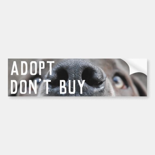 Grote Danes Gezicht Neus Bumpersticker (Voorkant)