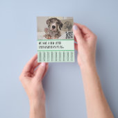 Grote Danes Puppies te Koop Flyer (Hand)