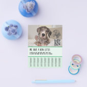 Grote Danes Puppies te Koop Flyer (Enkel)