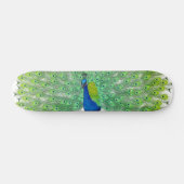 Grote de pauw kijkt Skateboard (Horizontaal)