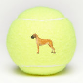 Grote Deen Balls Tennisballen (Voorkant)