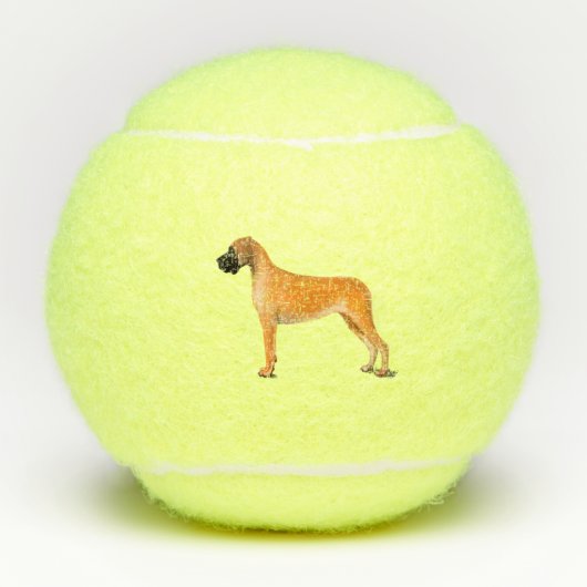Grote Deen Balls Tennisballen (Voorkant)