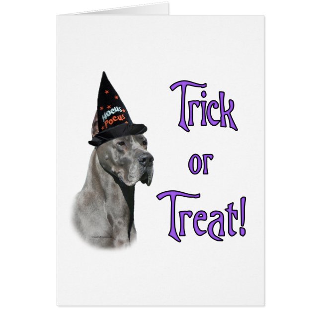 Grote Deen (blauw) Trick (Voorkant)