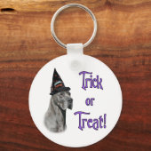 Grote Deen (blauw) Trick Sleutelhanger (Voorkant)