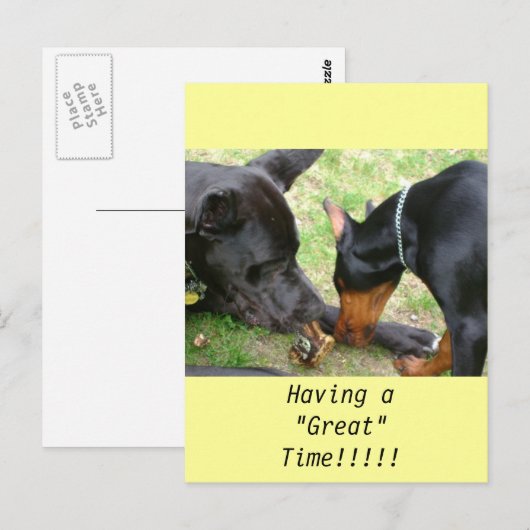 Grote Deen- en Doberman-postkaart Briefkaart (Voorkant / Achterkant)