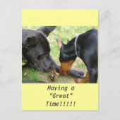 Grote Deen- en Doberman-postkaart Briefkaart (Voorkant)