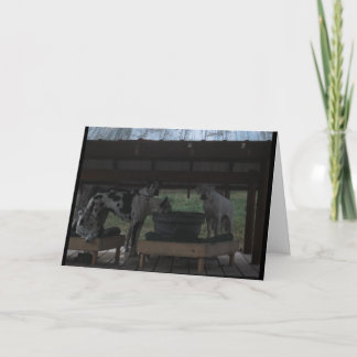 Grote Deen Halloween Kaart