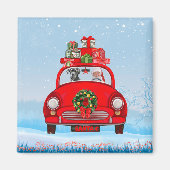 Grote deen-hond in de auto met de kerstman magneet (Voorkant)