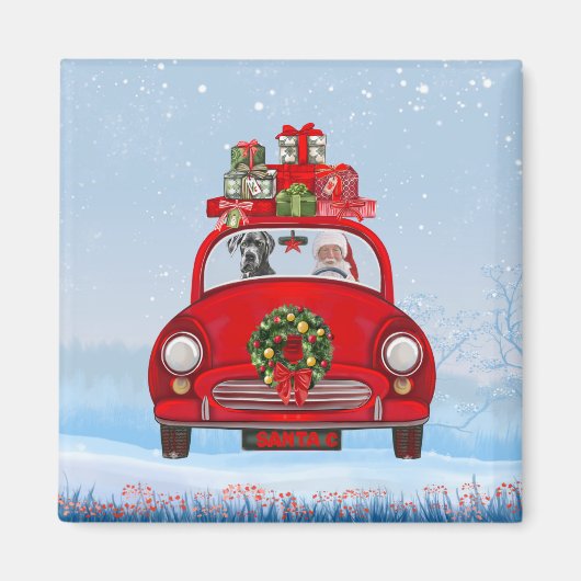Grote deen-hond in de auto met de kerstman magneet (Voorkant)
