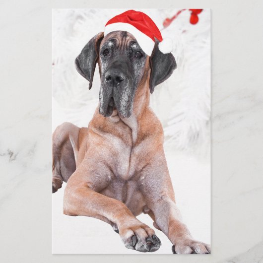 Grote Deen Hond Pet Vrolijk Kerstfeest Briefpapier (Voorkant)