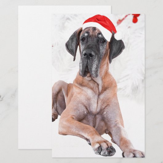 Grote Deen Hond Pet Vrolijk Kerstfeest Briefpapier (Voorkant / Achterkant)