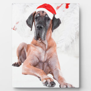 Grote Deen Hond Pet Vrolijk Kerstfeest Fotoplaat