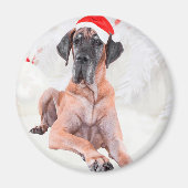 Grote Deen Hond Pet Vrolijk Kerstfeest Magneet (Voorkant)