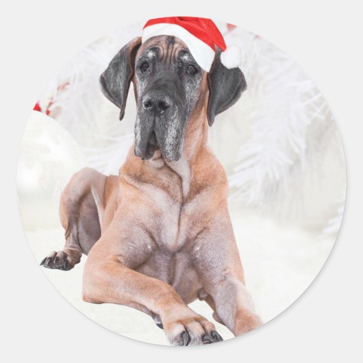 Grote Deen Hond Pet Vrolijk Kerstfeest Ronde Sticker (Voorkant)