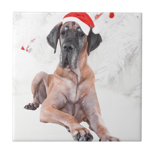 Grote Deen Hond Pet Vrolijk Kerstfeest Tegeltje (Voorkant)