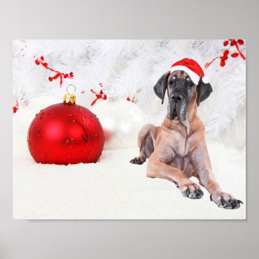 Grote Deen Hond Pet Vrolijk Kerstmis Rood Ornament Poster (Voorkant)