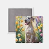 Grote Deen Hond Spring Bloemen Schilderen Magneet (Voorkant / Achterkant)