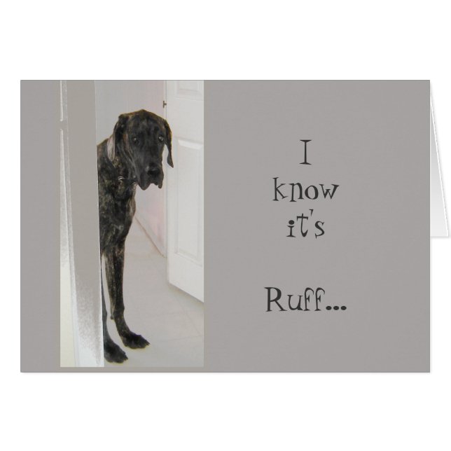 Grote Deen Huisdier Hond Het is Ruff geweest Ik be (Voorkant Horizontaal)