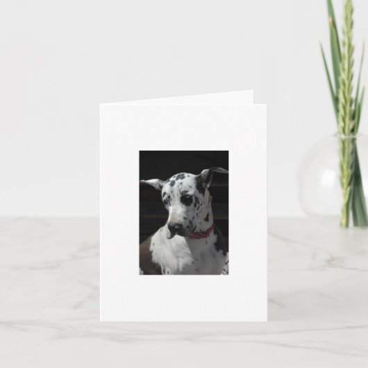 Grote Deen Kaart alle gelegenheid (Voorkant)