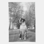 Grote Deen Keuken Handdoeken (Verticaal)