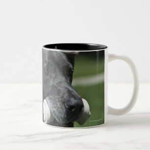 Grote Deen met been Tweekleurige Koffiemok