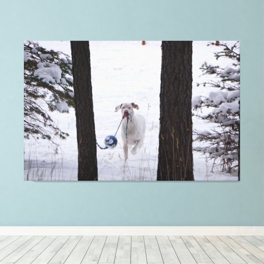 Grote Deen met een bal dit vakantieseizoen Canvas Afdruk (Insitu (Houten vloer))