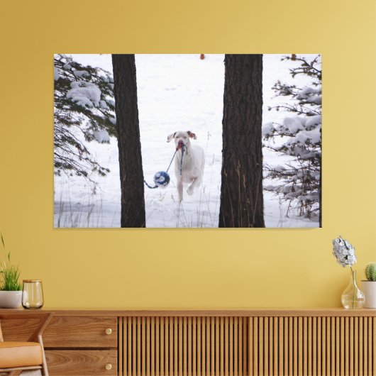 Grote Deen met een bal dit vakantieseizoen Canvas Afdruk (Insitu (Woonkamer))