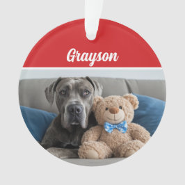 Grote Deen Naam Hond Vakantiefoto Kerstmis Ornament