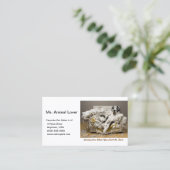 Grote Deen Ontspannen op Chewed Sofa Wit Visitekaartje (Staand voorkant)