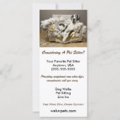 Grote Deen Ontspannen op Kauwbank Pet Sitter (Voorkant)