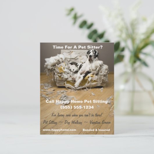 Grote Deen op gekauwde Sofa Pet Sitting Flyer 4x5 (Staand voorkant)