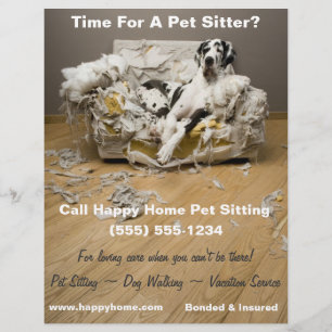 Grote Deen op Kauwbank Huisdier Zittende Flyer 8x1