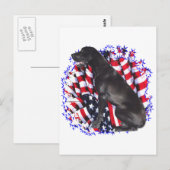 Grote Deen Patriot Briefkaart (Voorkant / Achterkant)