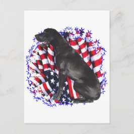 Grote Deen Patriot Briefkaart