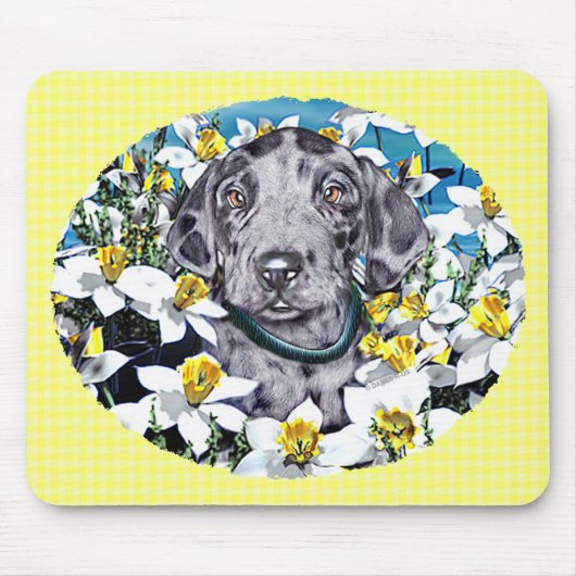 Grote deen-pop in Daffodils Merle Muismat (Voorkant)