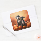 Grote Deen Puppy Herfst Delight Pompoen Vierkante Sticker (Envelop)
