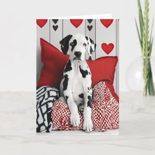Grote Deen Puppy Valentijn Kaart
