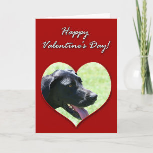 Grote Deen Valentijnsdag Kaart