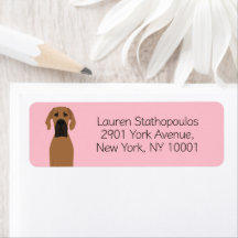 Grote Deense Fawn Dog