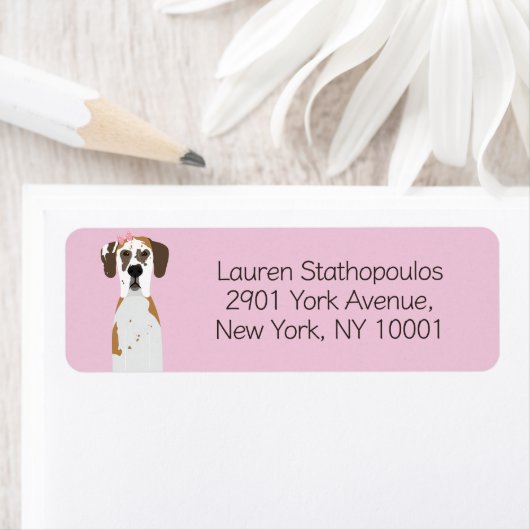 Grote Deense Fawnequin Hond Etiket (Insitu)