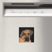 Grote Deense hondenmagneten Magneet (Insitu (Vaatwasser))