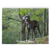 Grote Deense kalender (Hoes)