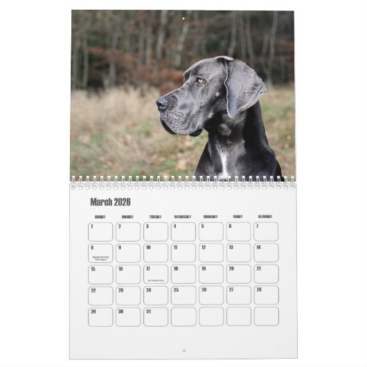 Grote Deense kalender (Mar 2026)