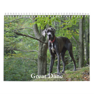 Grote Deense kalender