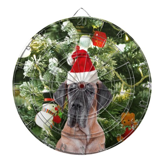 Grote Deense kerstboom geschenkdozen Santa Hat Dartbord (Voorkant)