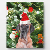 Grote Deense kerstboom geschenkdozen Santa Hat Fotoplaat (Voorkant)